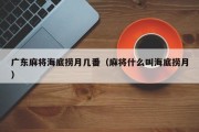 广东麻将海底捞月几番（麻将什么叫海底捞月）