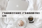 广东麻将赖子打法技巧（广东麻将的赖子有什么用）