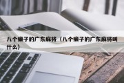 八个癞子的广东麻将（八个癞子的广东麻将叫什么）