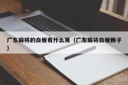 广东麻将的白板有什么用（广东麻将白板赖子）